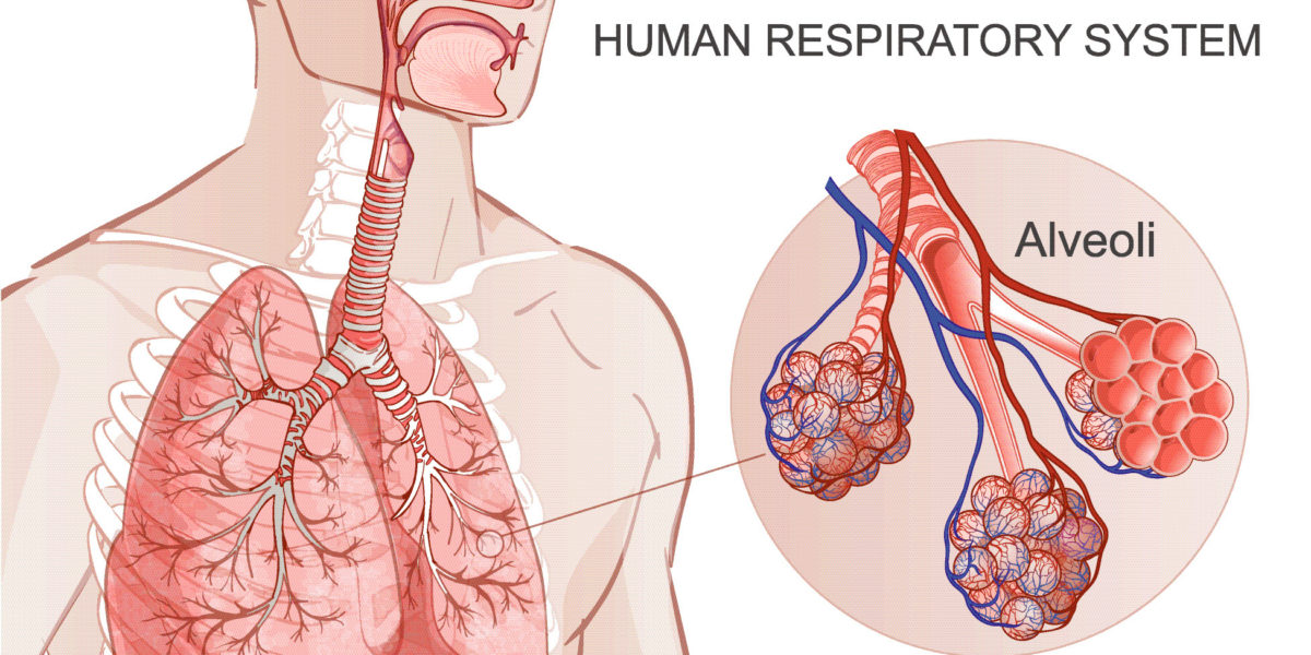 Breathing Exhaust Emmisions
